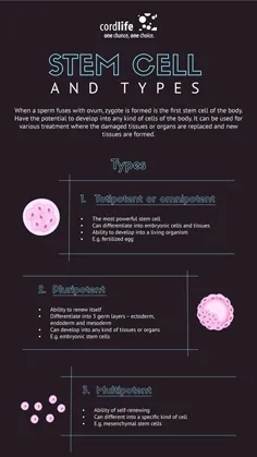 Stem-cells-and-types-thumbnail